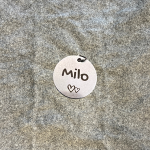 Personalized Stainless Steel Pet Name Tag, 25 mm
