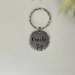 Personalized Stainless Steel Pet Name Tag - (Silver)